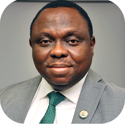 Bidun Ogunleye Profile