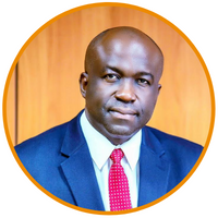 Dr Nnaemeka Ewelukwa Profile Picture