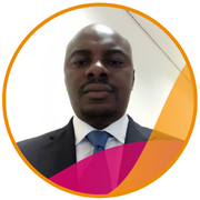 Nigeria Energy steering committee member 