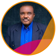 Nigeria Energy steering committee member