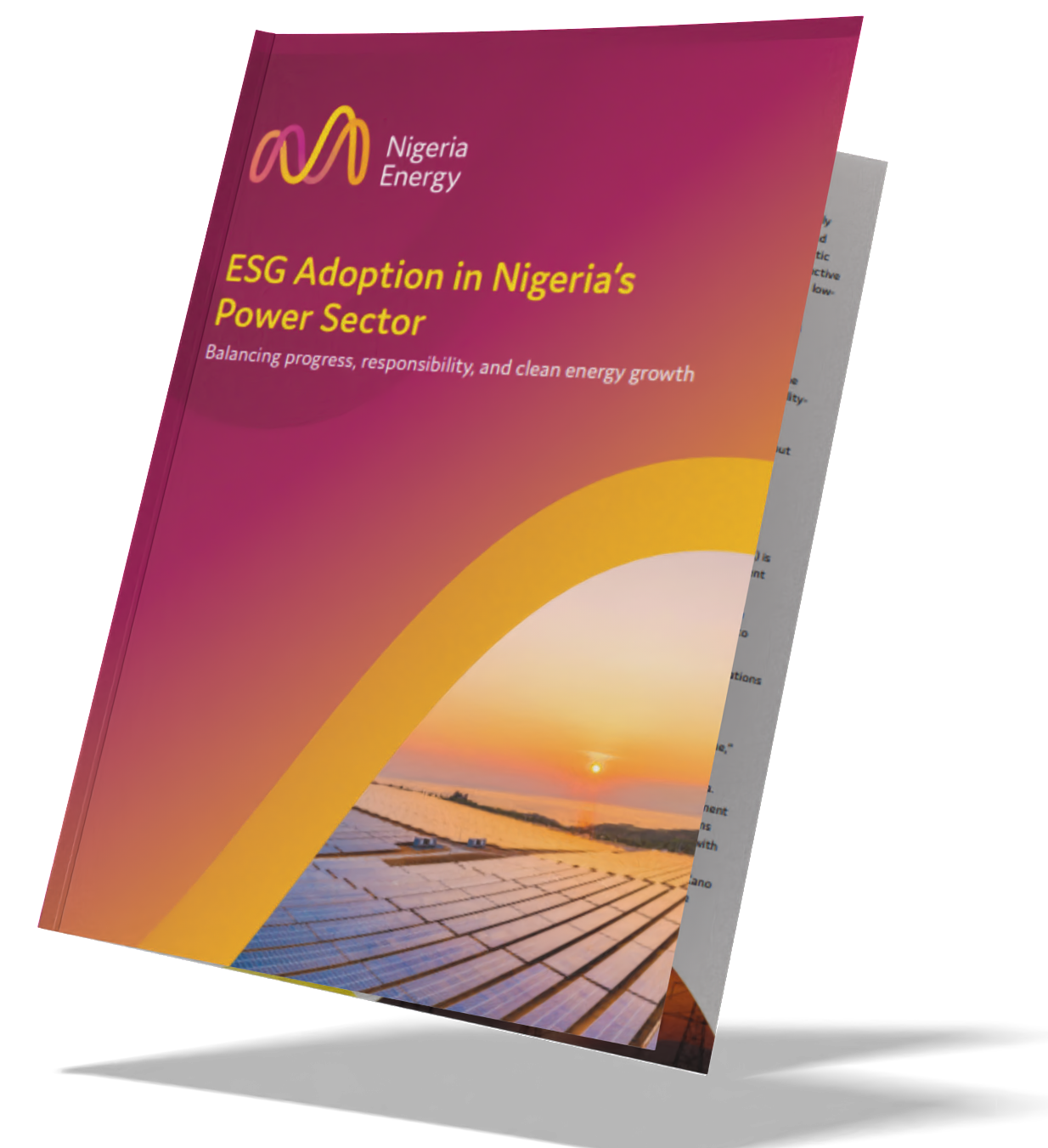 ESG Aaoption in Nigeria’s power sector
