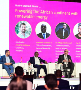 Nigeria Energy Speakers